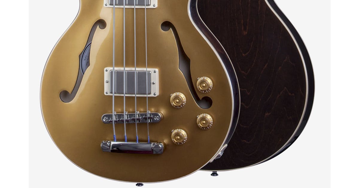 Paul bass. Полуакустическая Gibson es-333. Gibson les Paul Triumph Bass. Gibson es LP. Полуакустическая гитара Gibson es-195.