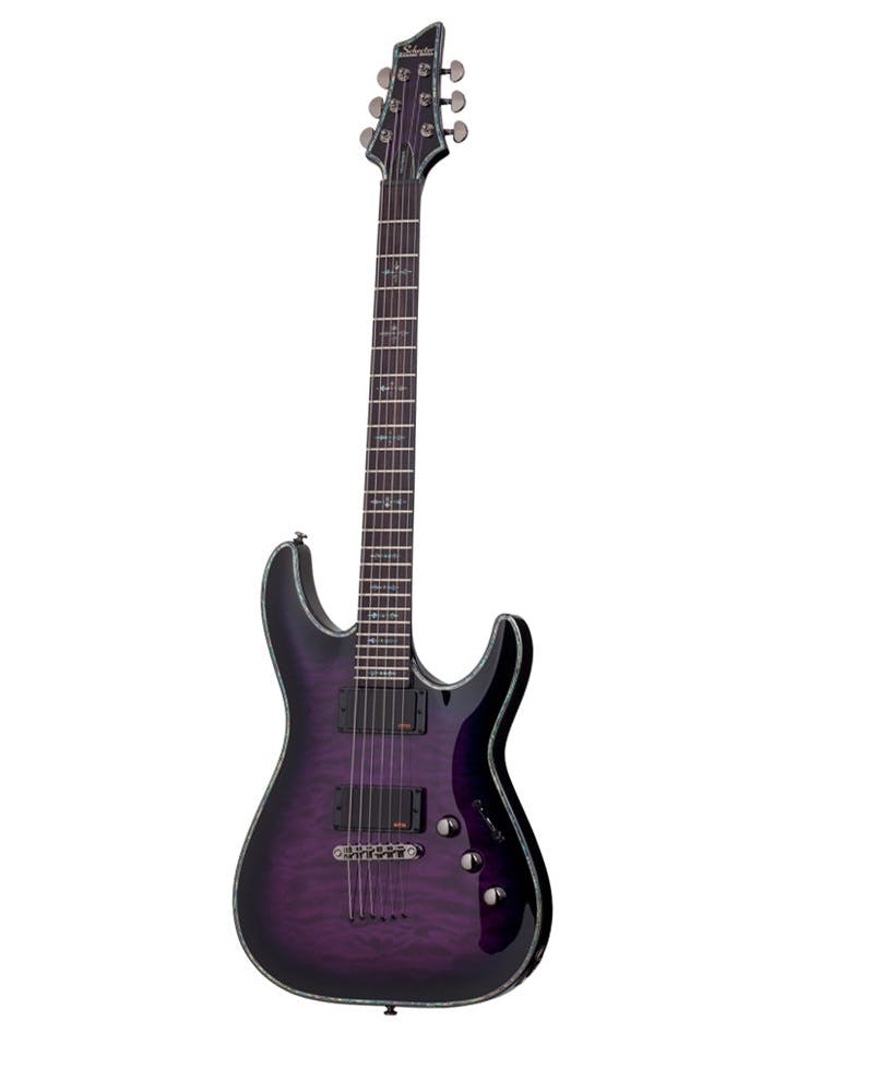 Andertons schecter on sale