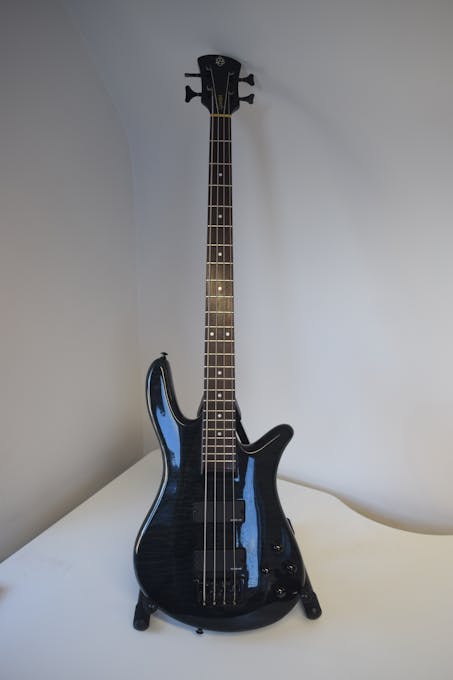 Second Hand Spector NS-2000/4