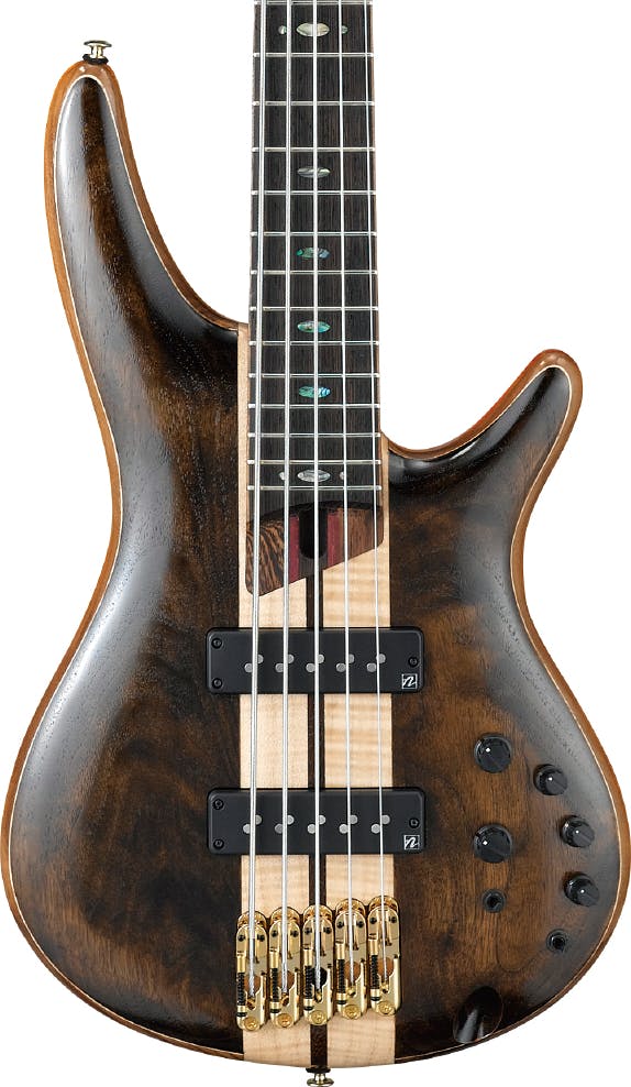 ibanez sr1825