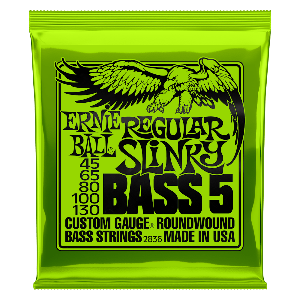 Ernie Ball Regular Slinky 5-String Bass Set (45-130)