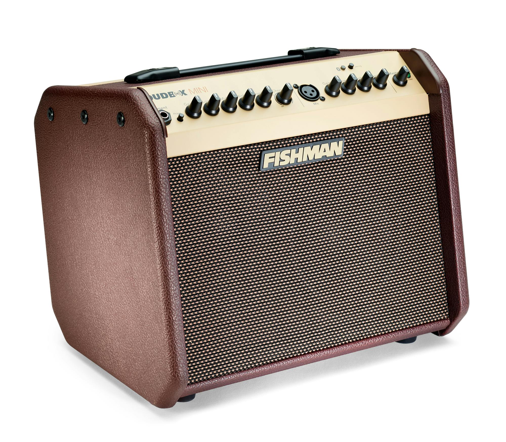 Fishman Loudbox Mini Bluetooth Amp Andertons Music Co