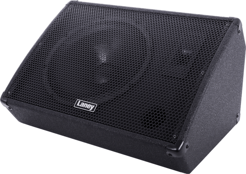 Laney CXM112 non powered stage monitor