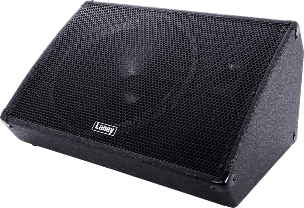 Laney CXM115 non powered stage monitor