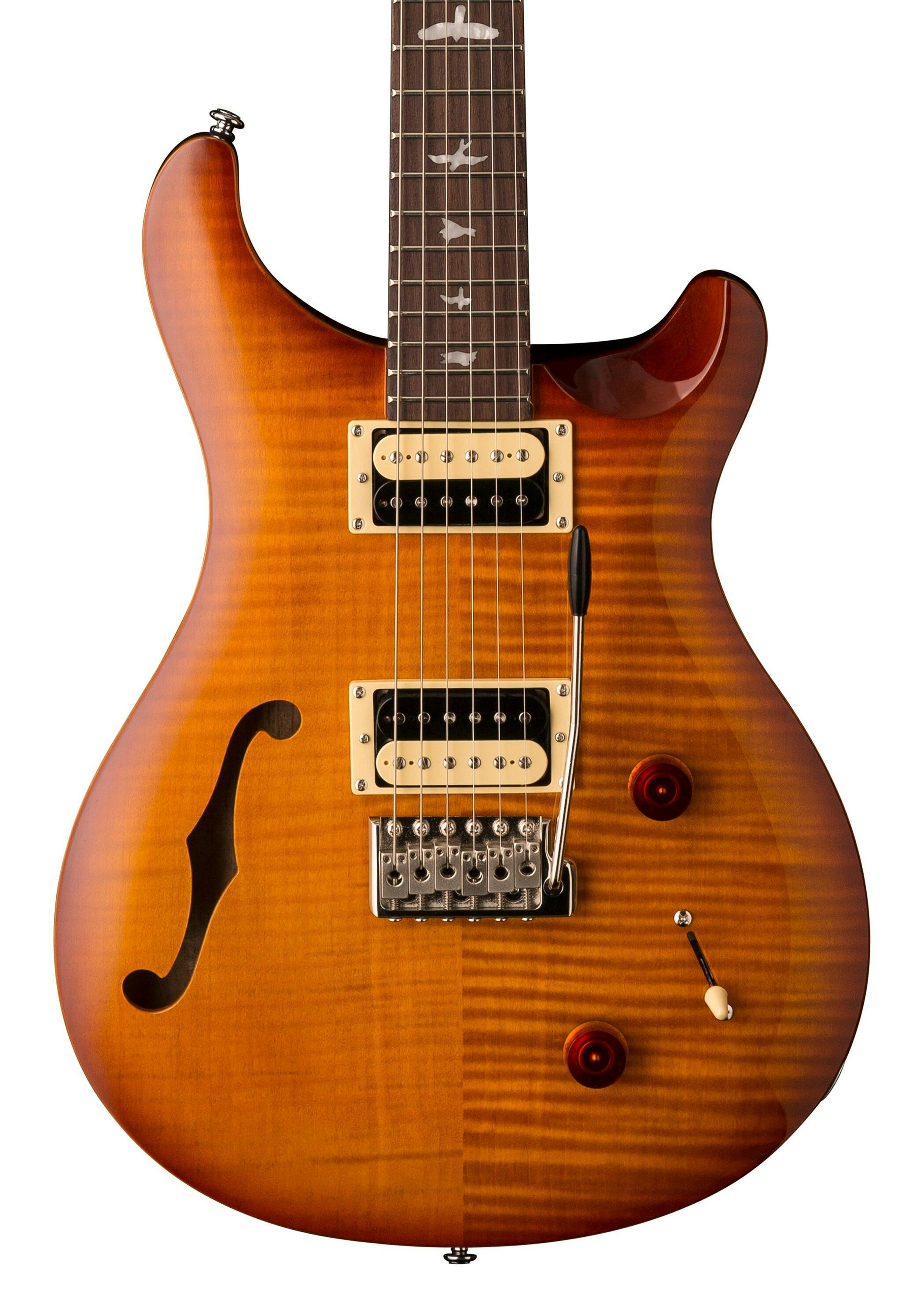 Paul Reed Smith (PRS) SE Custom 22 - 弦楽器、ギター