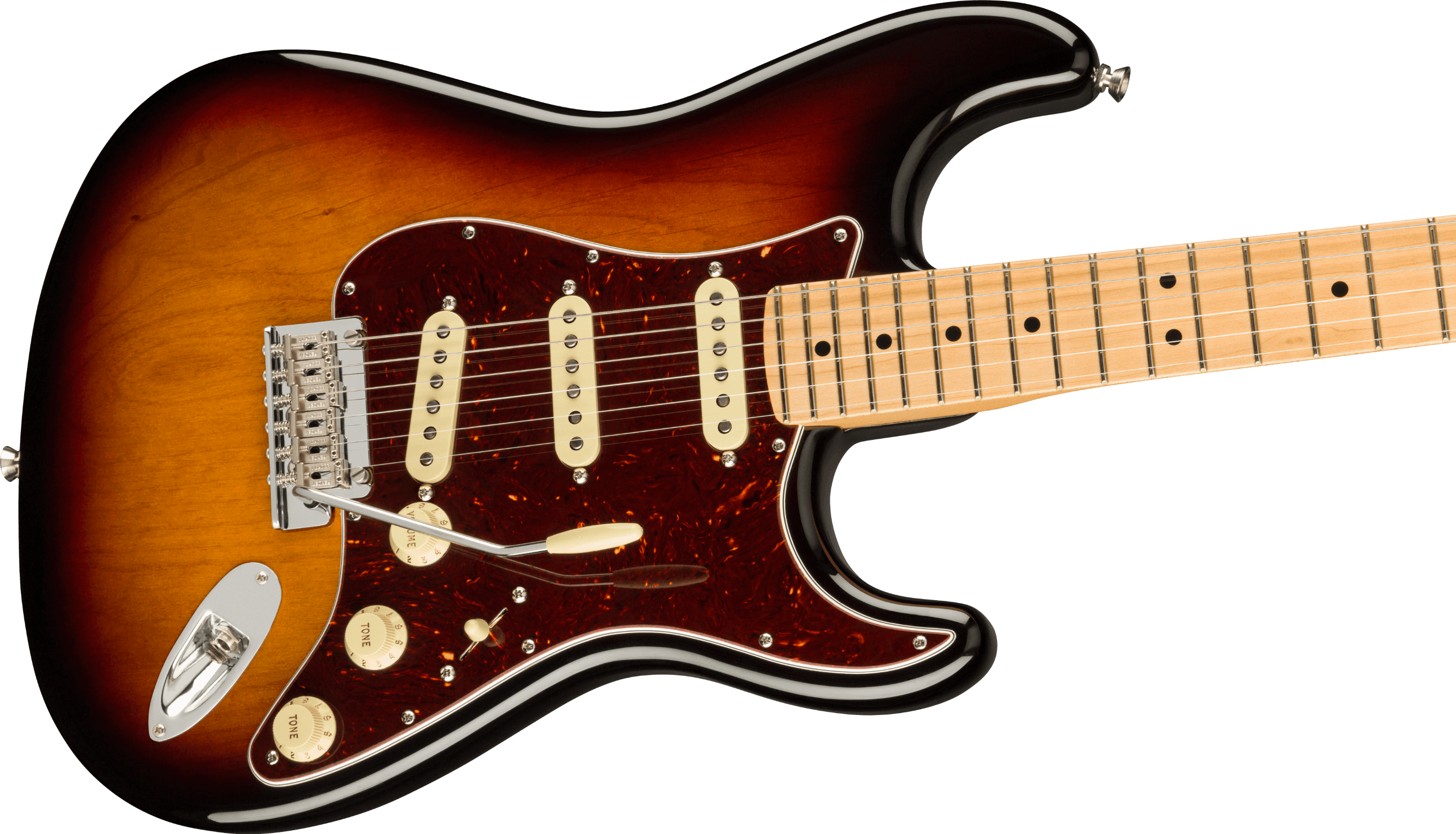 strat maple