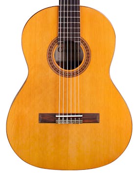 Cordoba Dolce 7/8 Size Nylon String Acoustic Guitar