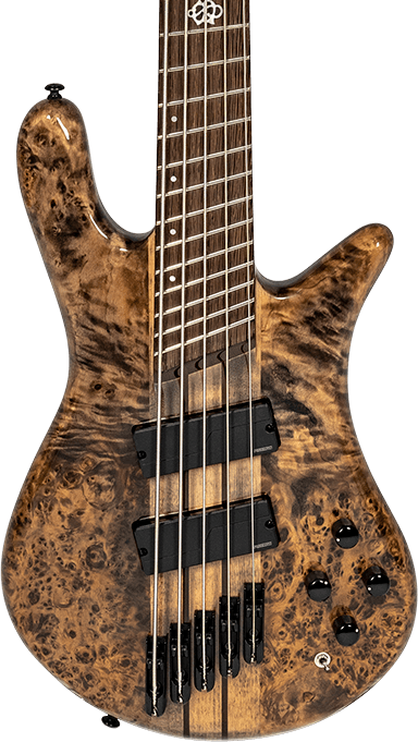 spector ns dimension bass