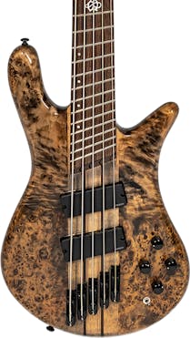 Spector NS Dimension MS 5 5-String Bass in Super Faded Black