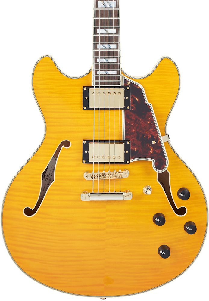 D'Angelico Excel DC Semi Hollow in Vintage Natural