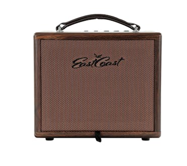EastCoast 25W Acoustic Guitar Amplifier