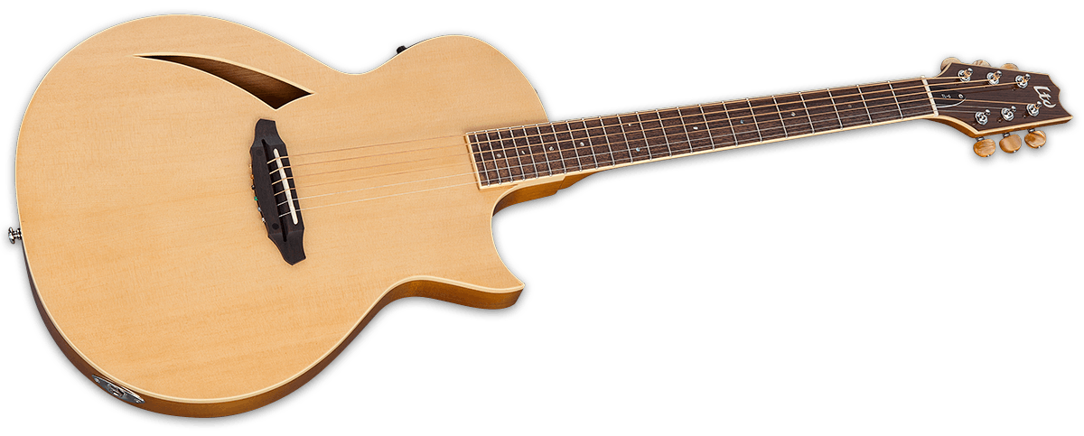 ESP/LTD LTD TL-6 Thinline Acoustic/Electric Guitar (Natural)