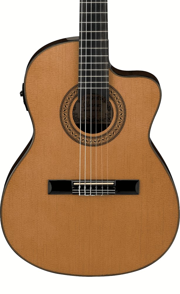 Ibanez Thinline Classical Electro-Acoustic in Amber