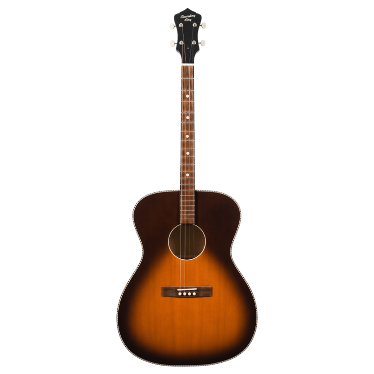 Acoustic tenor deals guitar