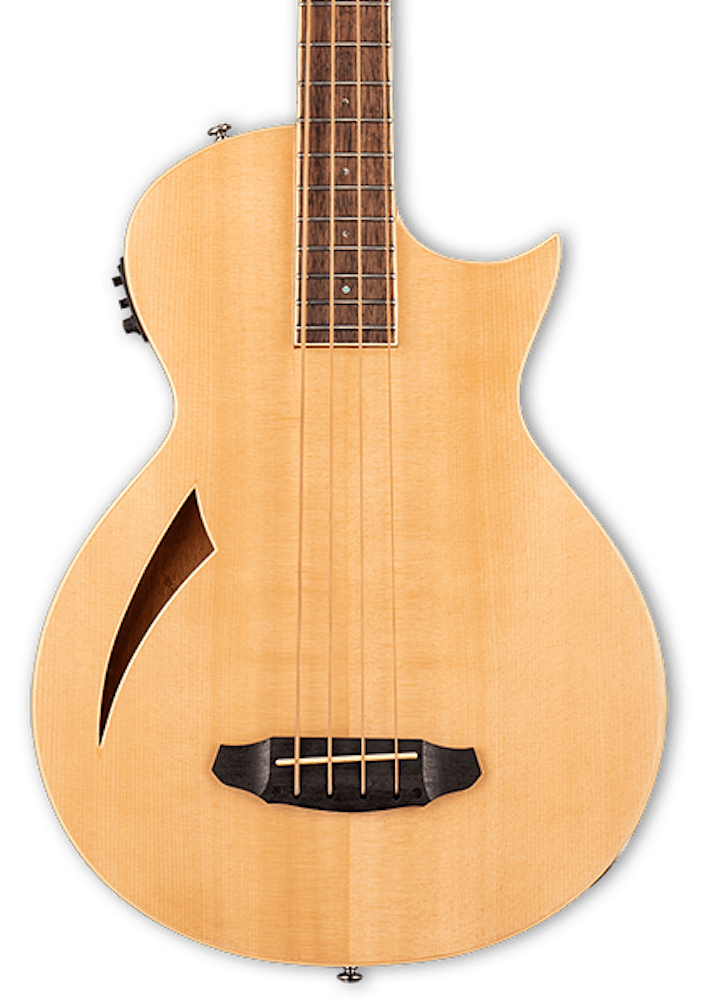 ESP TL-4Z 4-String Thinline Acoustic Bass in Natural