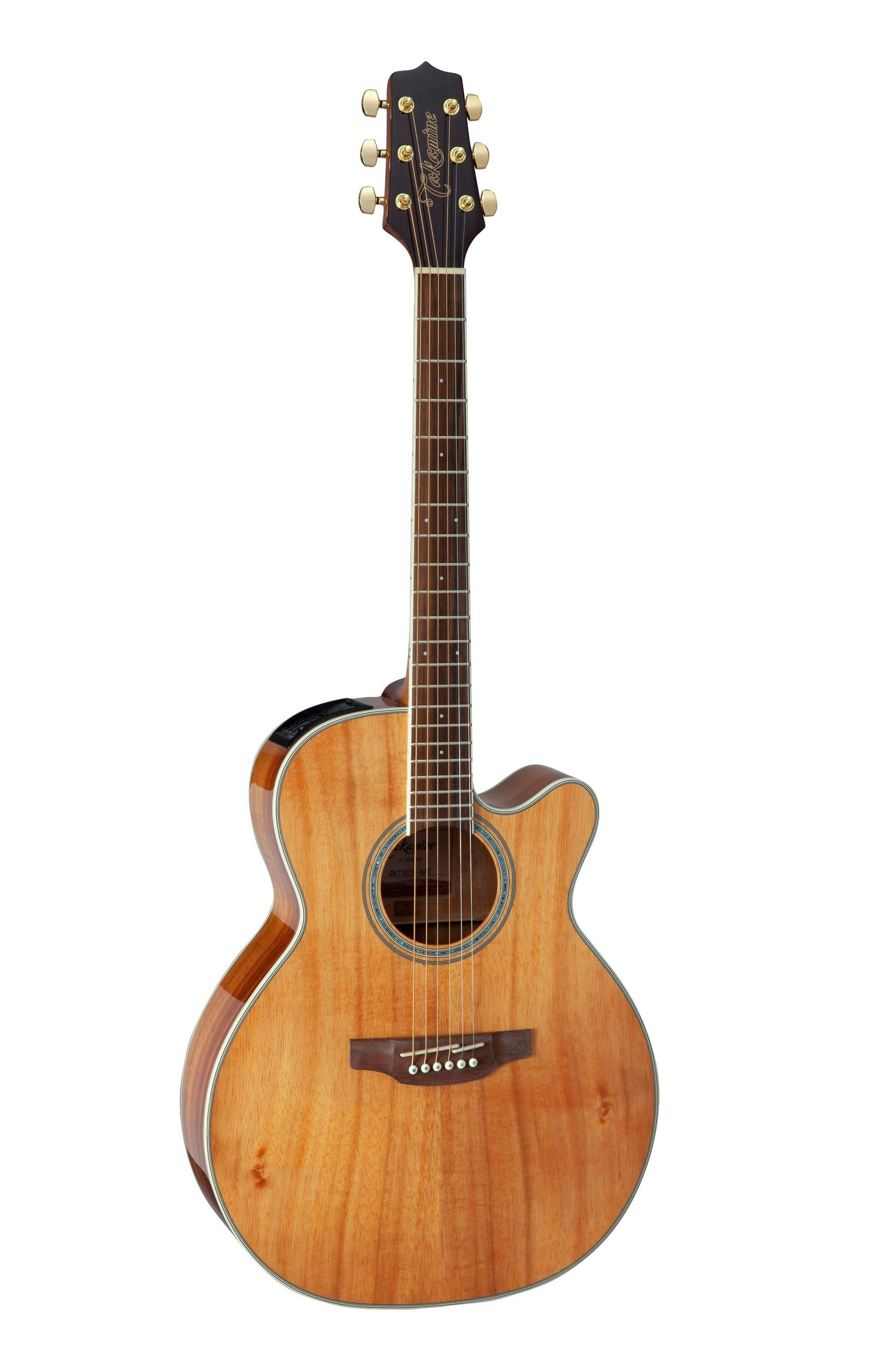 cort evl acoustic