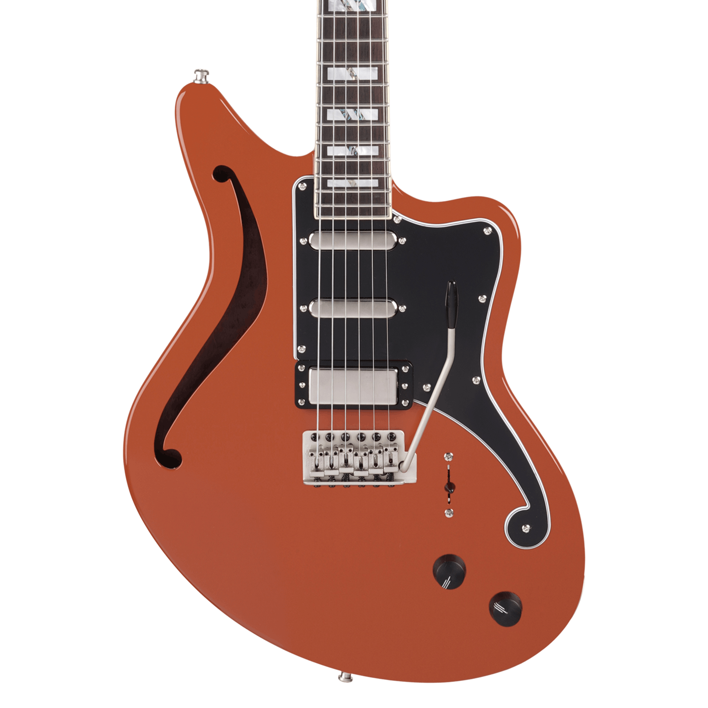 D'Angelico Deluxe Bedford SH LE Semi-Hollow Electric Guitar in 