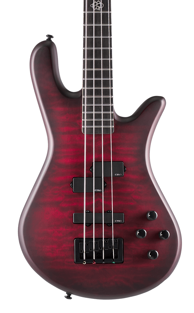 spector active bass