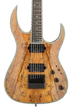 BC Rich Prophecy Series Shredzilla Archtop Electric Guitar with EverTune in Spalted Maple