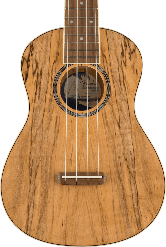 Fender Zuma Exotic Concert Ukulele in Spalted Maple