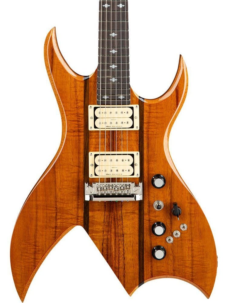 Bc rich clearance rich bich