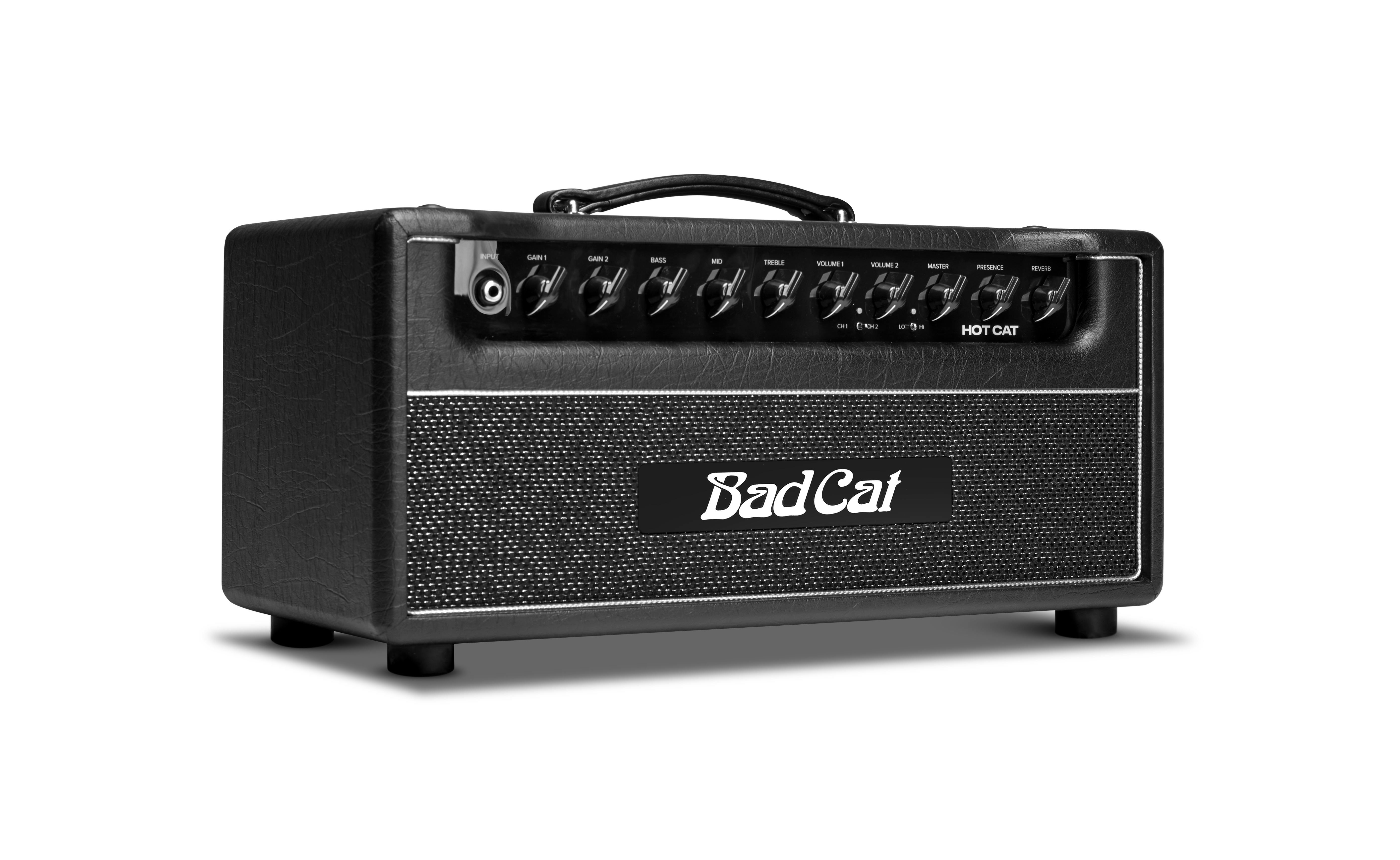 Bad Cat Hot Cat 45W Valve Amp Head - Andertons Music Co.