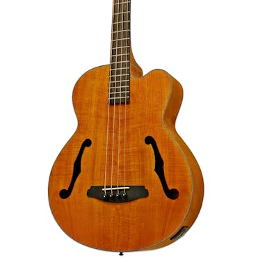 Aria FEB-F2M Electro Acoustic Bass in Stained Brown