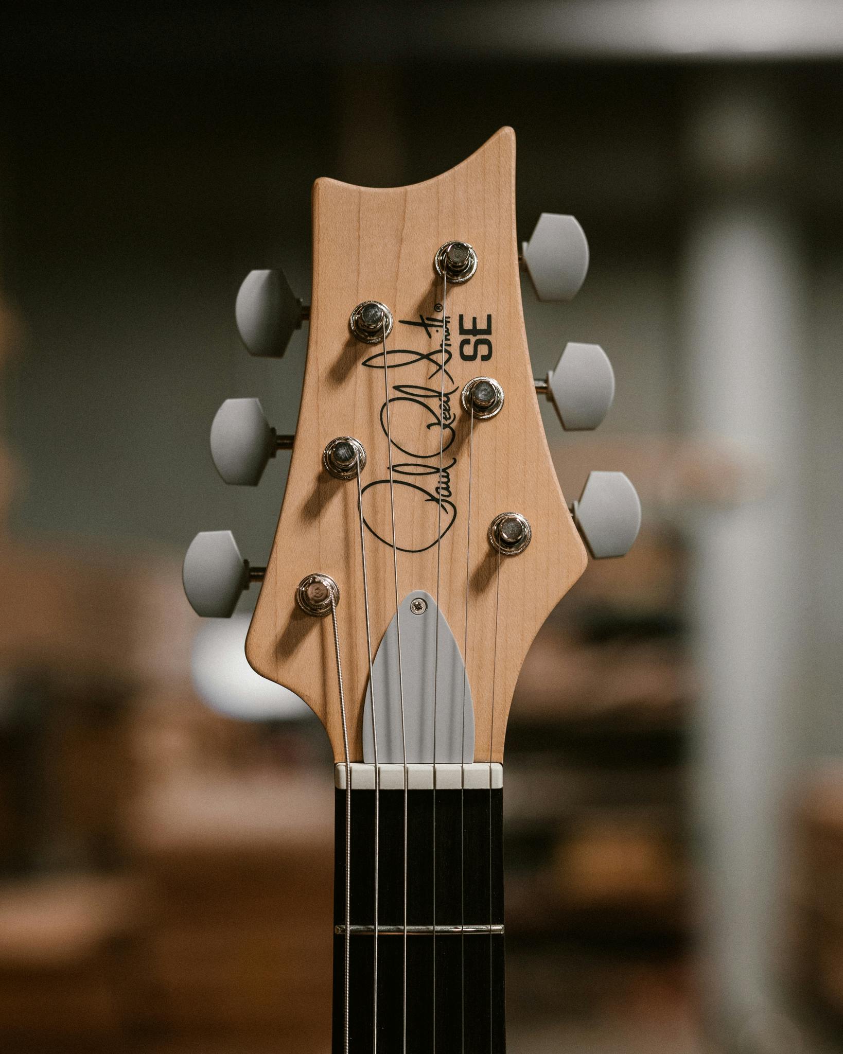 PRS SE Silver Sky - Storm Grey — Zedem